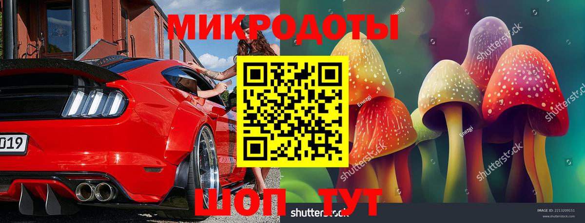 Боровичи  купить  цена  Вход с VPN  Псилоцибиновые грибы GOLDEN TEACHER 